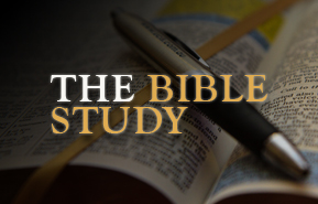 The Bible Study