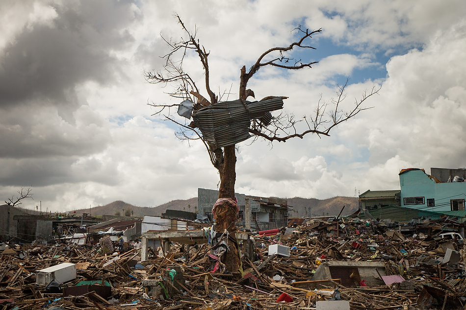 A tree damaged from Typhoon Haiyan is framed against a backdrop of destruction in Tacloban City, Leyte province, Philippines on Tuesday, Nov. 19, 2013. Photo by Erik M. Lunsford/LCMS