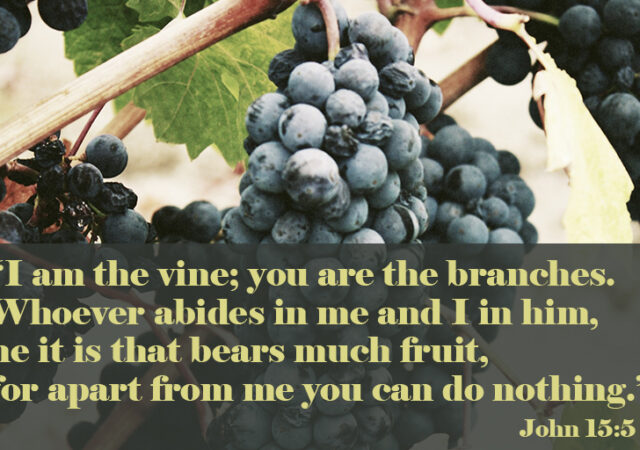 John 15:5