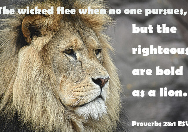 Proverbs 28:1