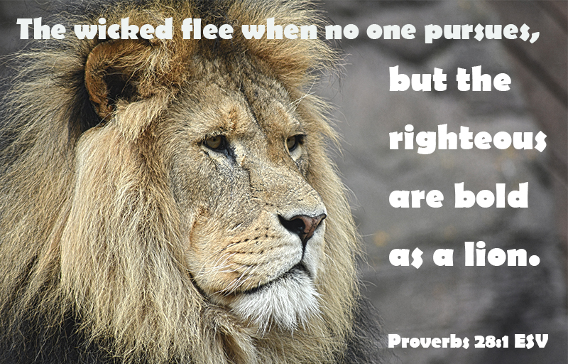 Proverbs 28:1