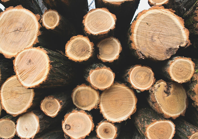 altar of burnt offering