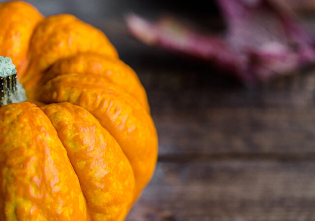 ISM thanksgiving feast