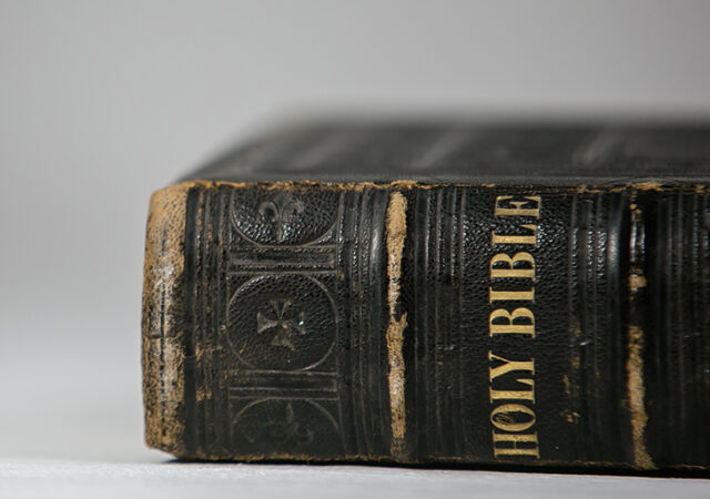 circumcision covenants