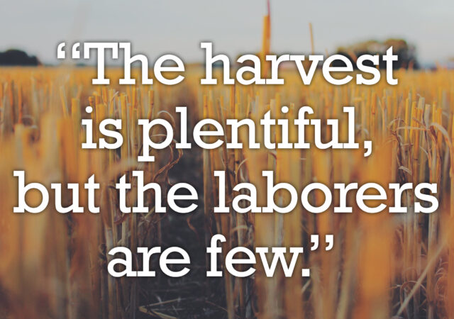 2nd Sunday Pentecost