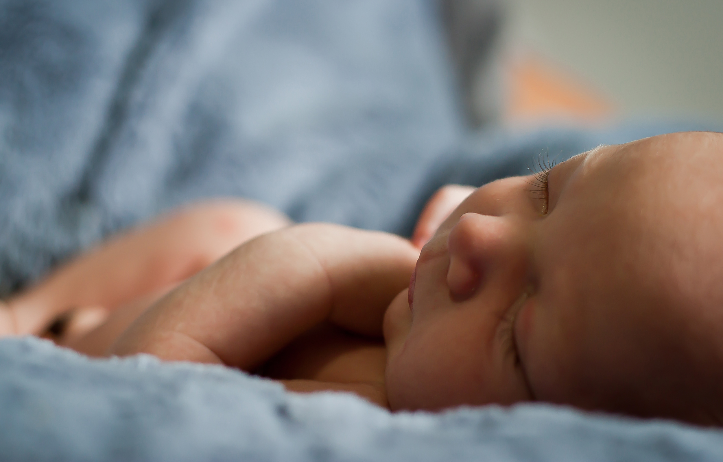 Planned Parenthood Annual Report