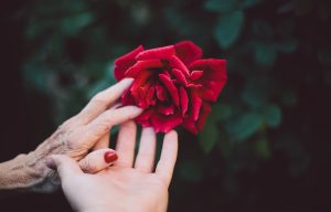 Lutherans For Life Conference