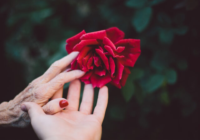 Lutherans For Life Conference