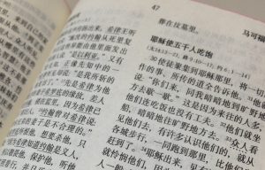 Lutheran Materials Chinese