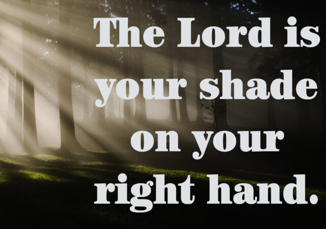 Looking Ahead Proper 24