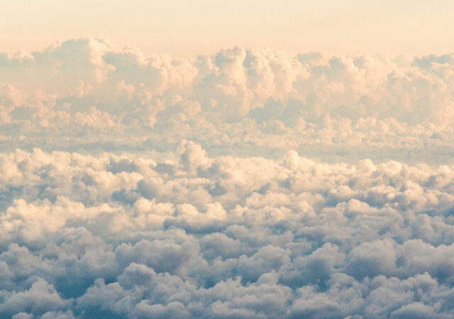 Looking Ahead All Saints Day