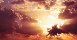 Joy In Unexpected Loss