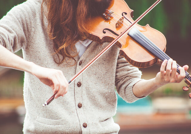 NLSW MELHS St Paul Hamel