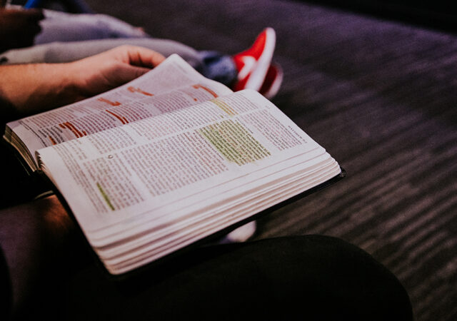 New Bible Translation