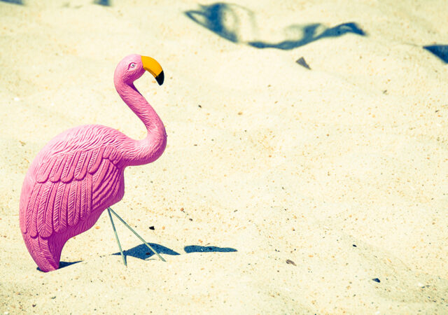 Worker Wellness Vacation