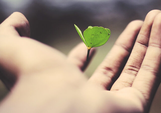 Lutheran Service in America