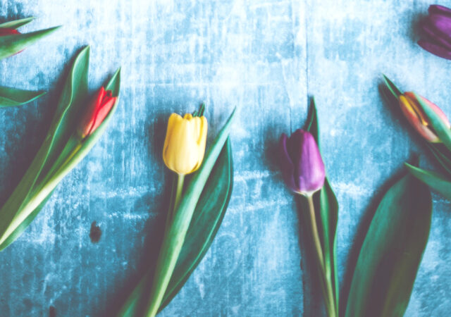 Waiting In Wonder For Easter