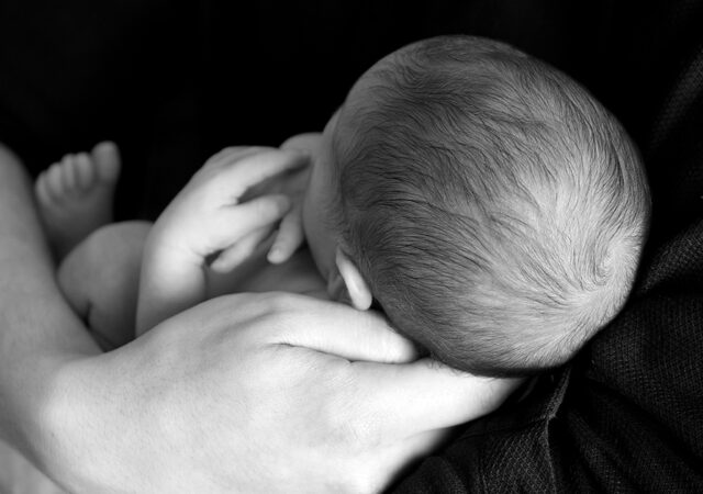 Challenge Illinois Abortion Law