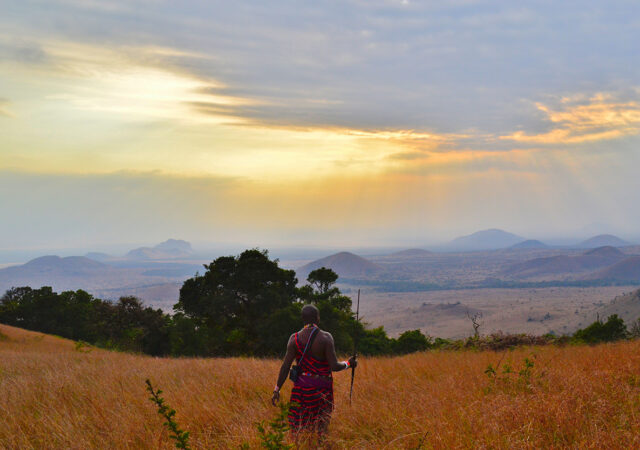 Agricultural Consultancy 1