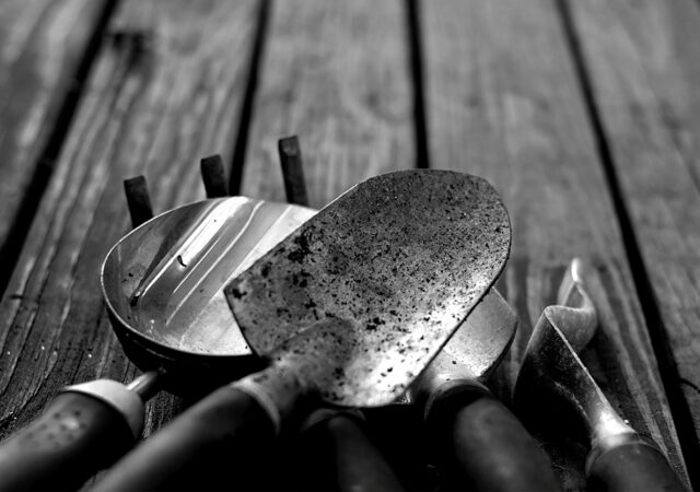 Servant Events Minnesota