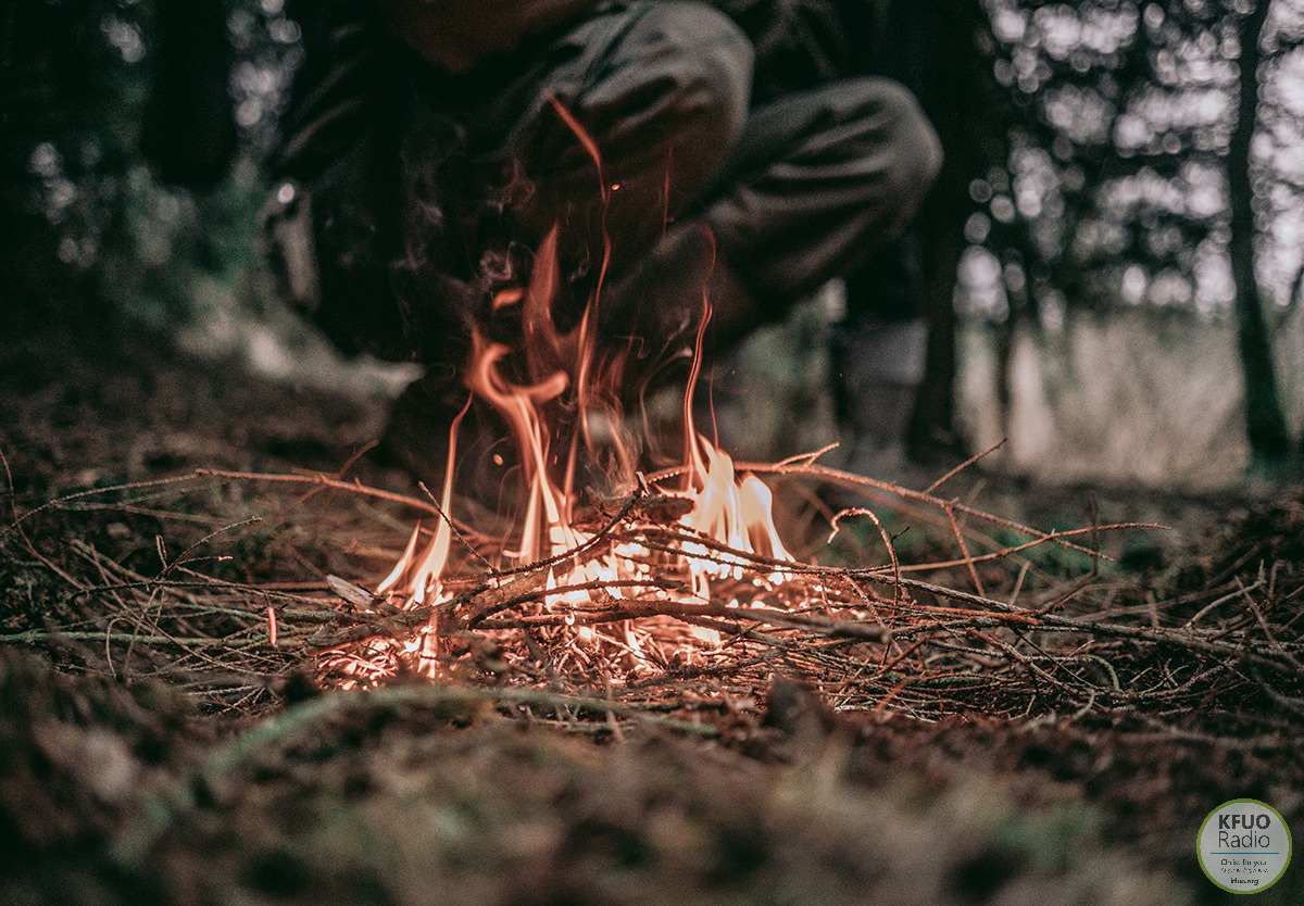 Summer Camp Lutherhaven
