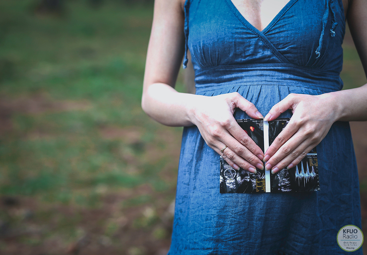 Protect Pro Life Activists