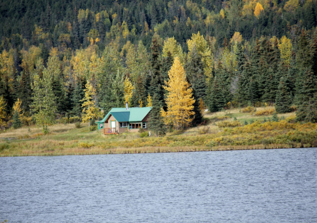 Real Remote Education