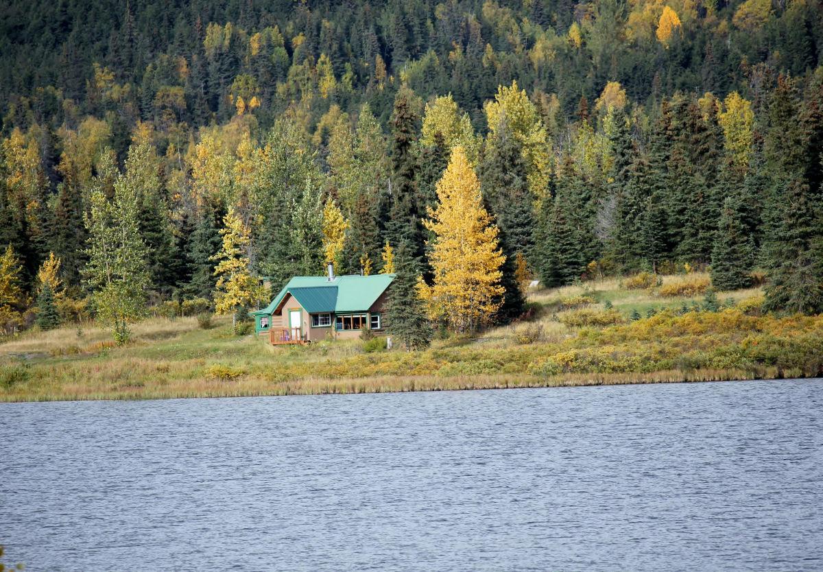 Real Remote Education