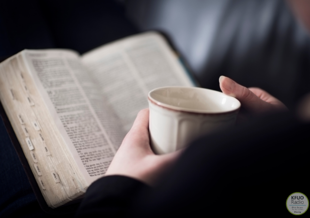 seaching the Scriptures