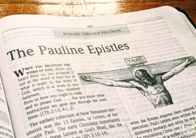 new series Pauline Epistles