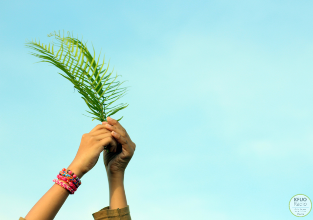 Palm Sunday Holy Week