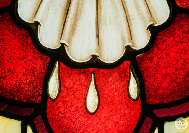 Catechized Life Baptism