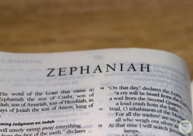 Zephaniah 1:1-13