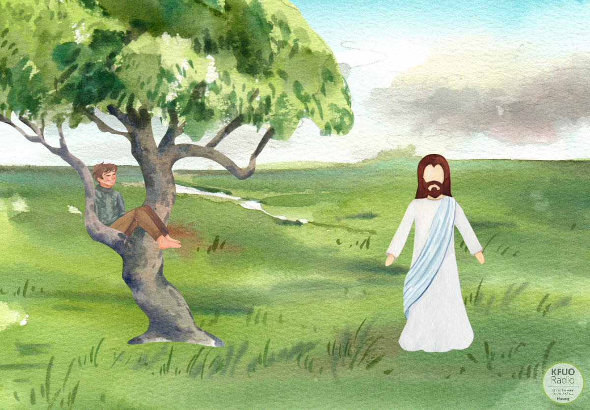Zacchaeus Was Wee Little Man ( 3440 found