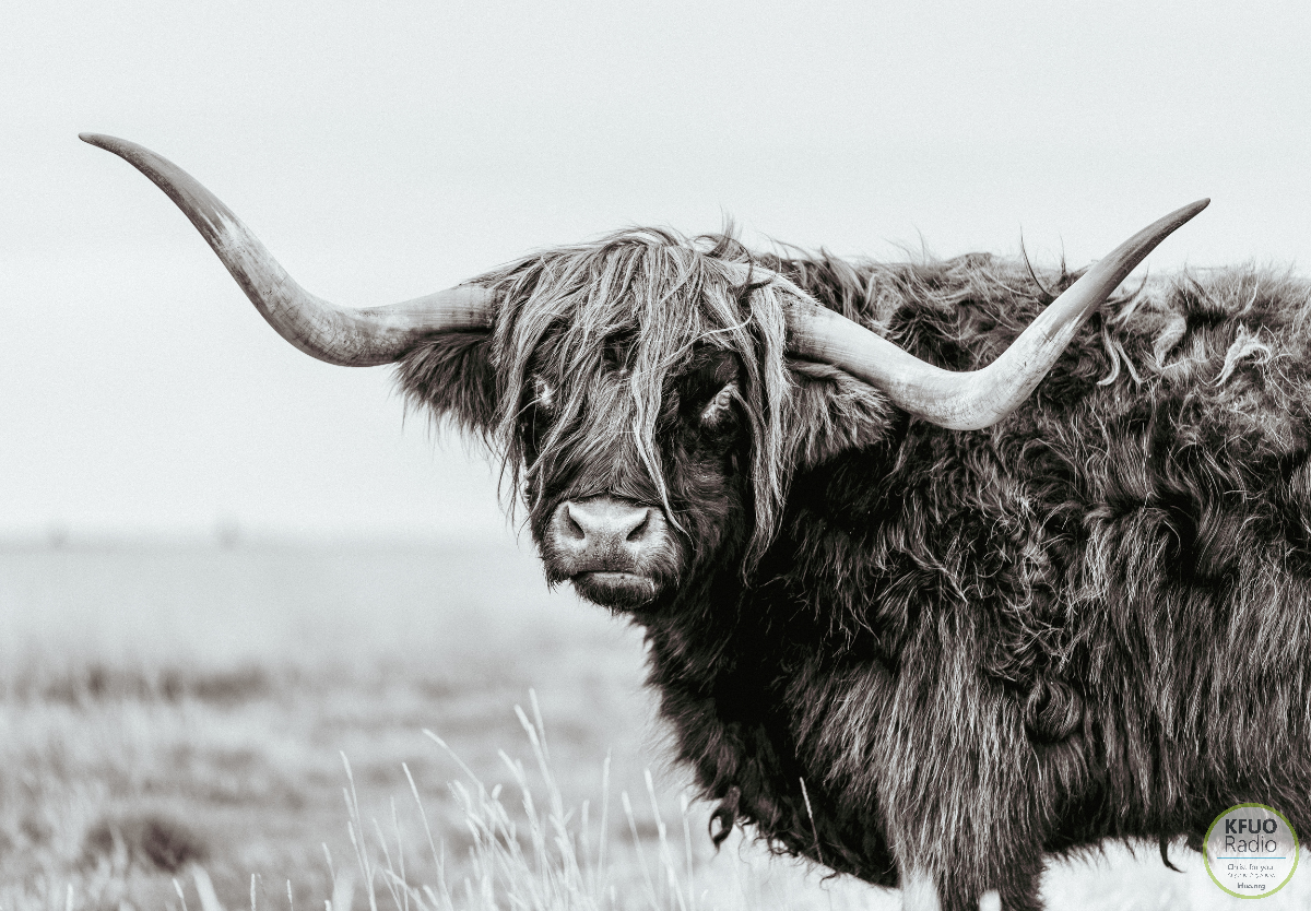 Sharper Iron — The Law of God is Good image