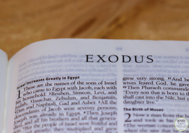 New BOok Exodus