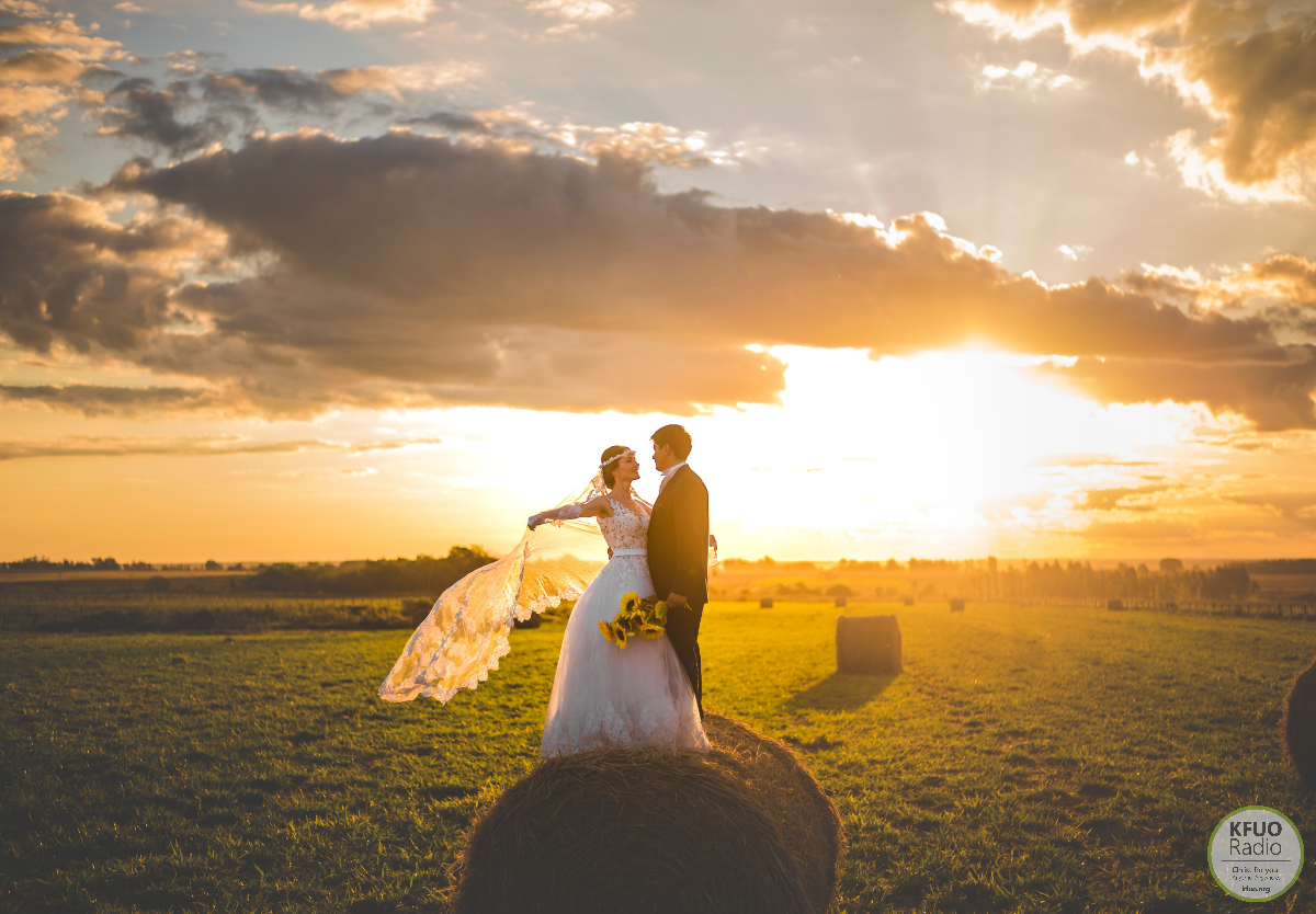 Nov Searching Scriptures