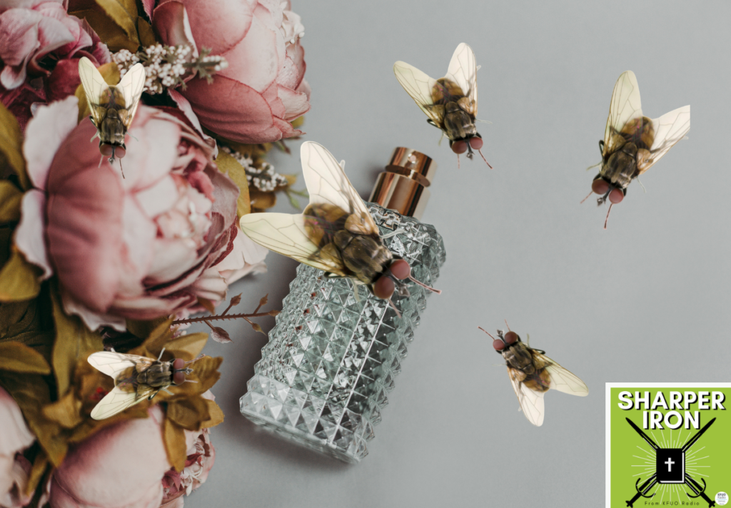 Sharper Iron — Wisdom for Life Under the Sun Don’t Put Dead Flies in