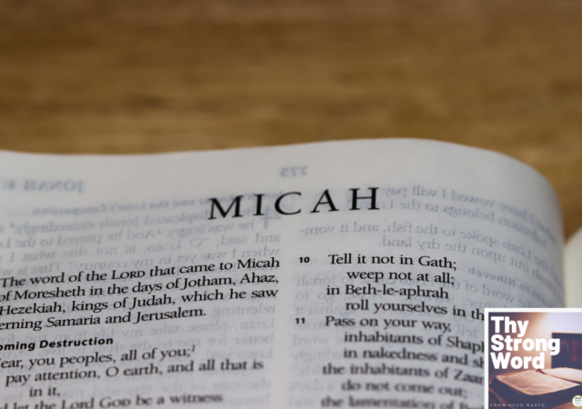 Micah New Series