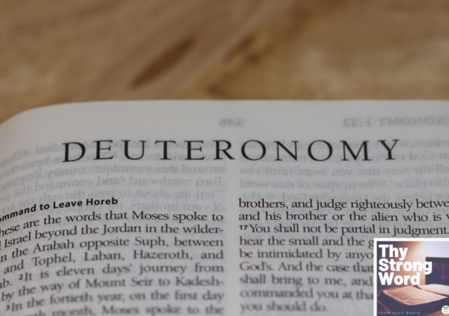 New Series Deuteronomy