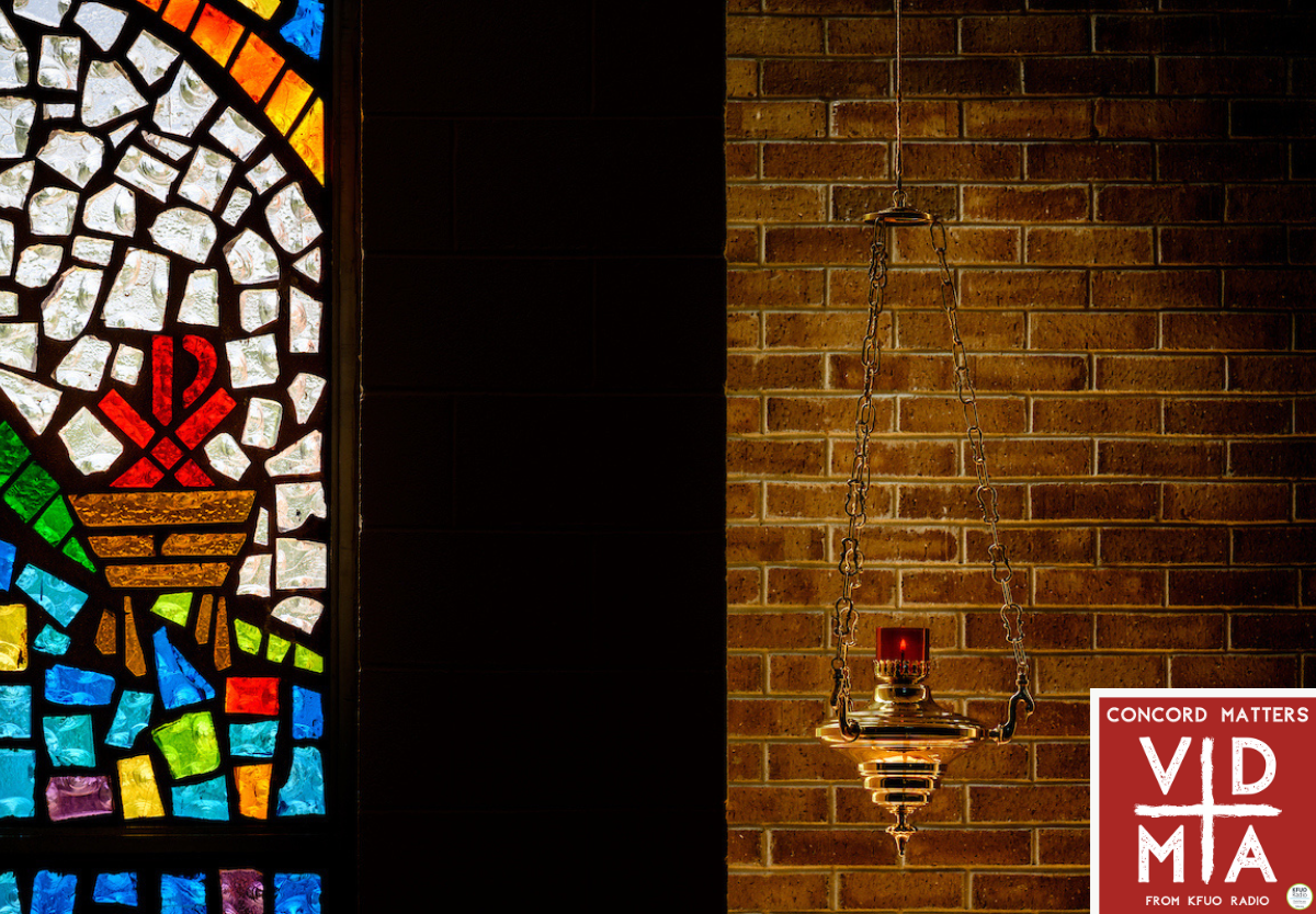 Human Traditions Pt. 1