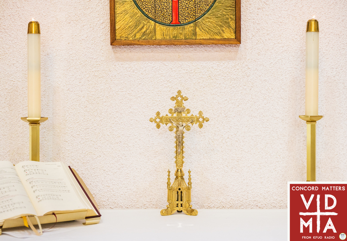 Human Traditions Pt. 2