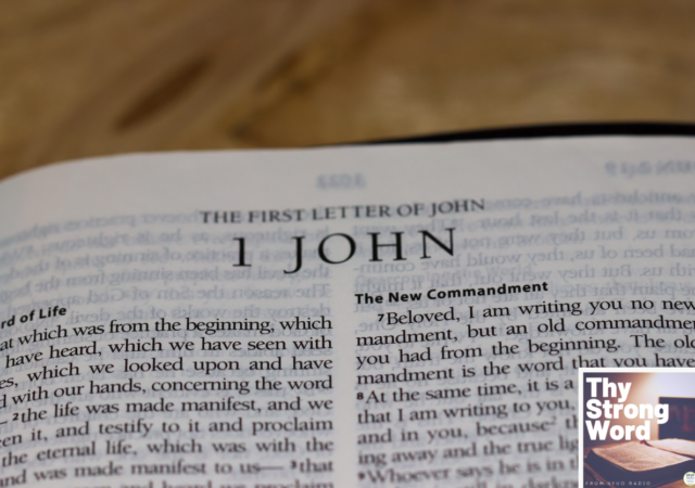 The Epistles of John
