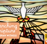 Searching Scripture: Summer