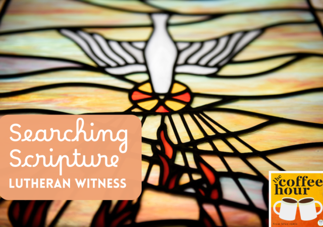 Searching Scripture: Summer