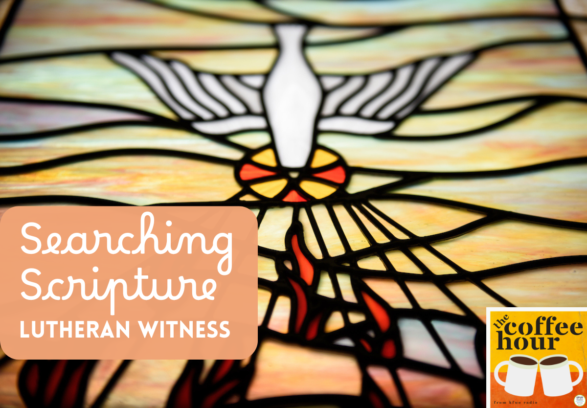 Searching Scripture: Summer